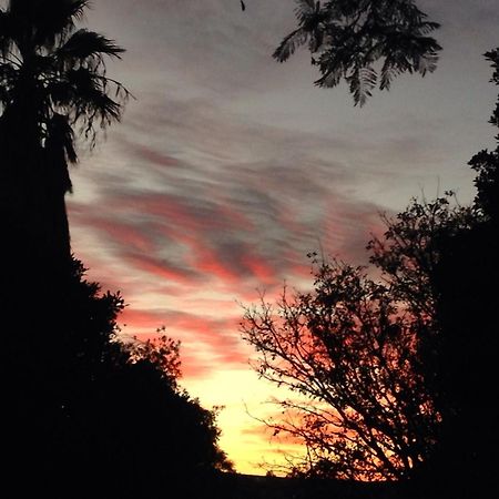 Artkaroo Stay Oudtshoorn Ngoại thất bức ảnh