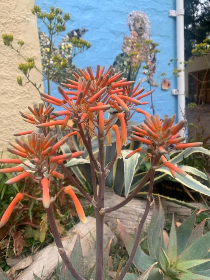 Artkaroo Stay Oudtshoorn Ngoại thất bức ảnh