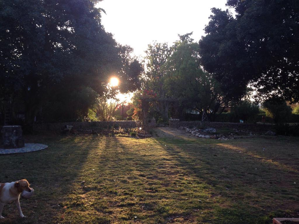 Artkaroo Stay Oudtshoorn Ngoại thất bức ảnh