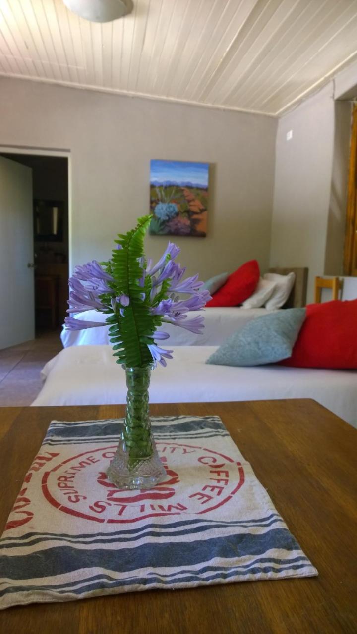 Artkaroo Stay Oudtshoorn Ngoại thất bức ảnh
